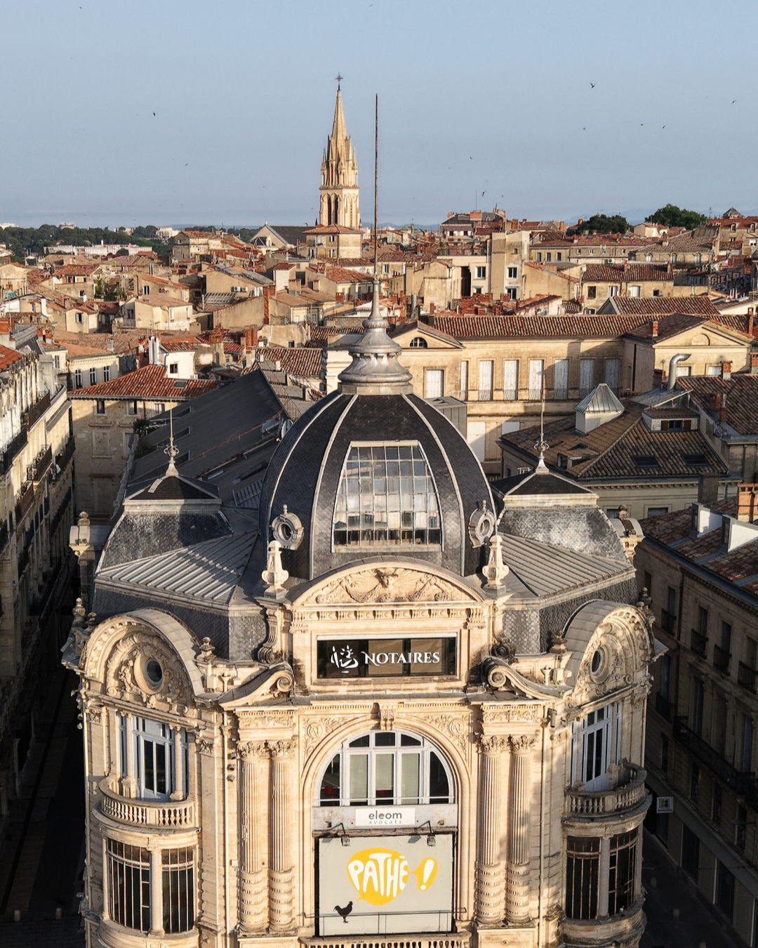 Design sans titre (1)